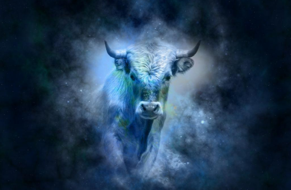 Астрологи предсказывают Тельцам удачную неделю. Вы сможете достаточно легко справиться со всеми поставленными перед вами задачами. Если будете настойчивыми и старательными, у вас появится возможность пересмотреть свой статус на работе и еще раз обсудить это с заинтересованными людьми. Новая неделя очень благоприятна для смены профессии или просто места работы. Если вам боязно покидать свою зону комфорта, соберите всю свою силу в кулак и преодолейте страх на пользу счастливого будущего. Полученный результат вас очень удивит и порадует. 
Первая половина недели очень благоприятна для любых начинаний. Лекции, доклады или мастер-классы дадутся вам очень легко и будут иметь хороший результат. В среду посвятите вечер близким друзьям за чашкой ароматного какао или интересного фильма в кинотеатре. Чтобы весело и незабываемо провести время – пойдите на каток, о котором вы так мечтаете, даже если страшно. В веселой компании вы преодолеете любые преграды.
С четверга Тельцы будут чувствовать себя комфортно во всех сферах жизни. Проблемы со здоровьем вас не побеспокоят, а финансовое положение будет, как всегда, стабильным. Принимайте все события вашей жизни с благодарностью и не отказывайте себе в удовольствии отпраздновать свои достижения.