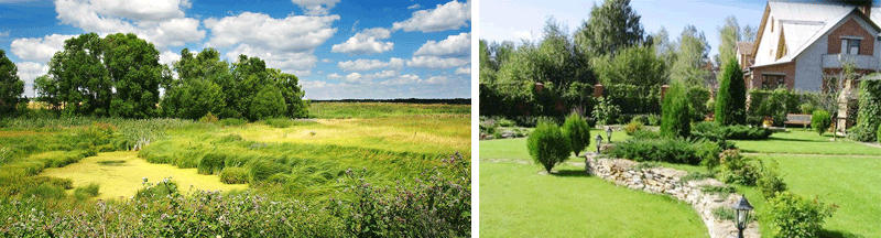 Что такое "Дачная амнистия"?