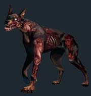 Cerberus