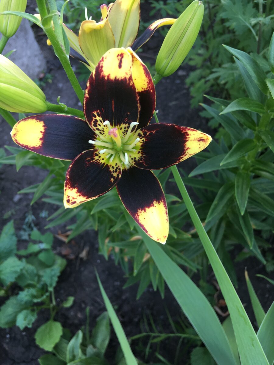 Мы сами себе творцы❤️