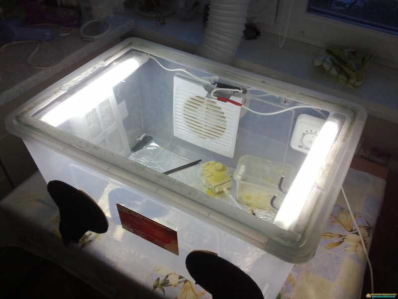 бокс для покраски, фото для иллюстрации статьи modeli.by