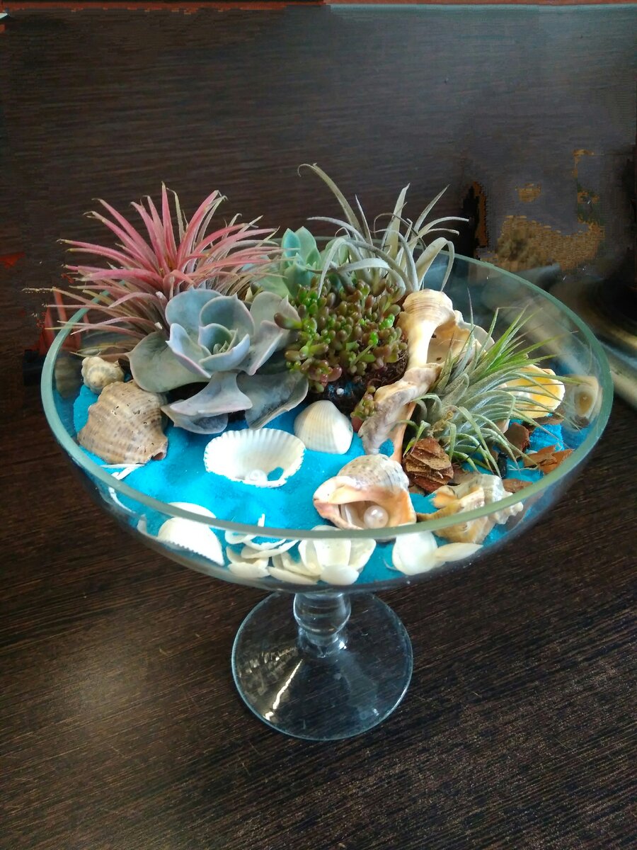 Сегодня собираем красивый флорариум на морскую тематику вместе с фитодизайнерами  flowmagic