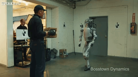 Тестирование способности ловить предметы