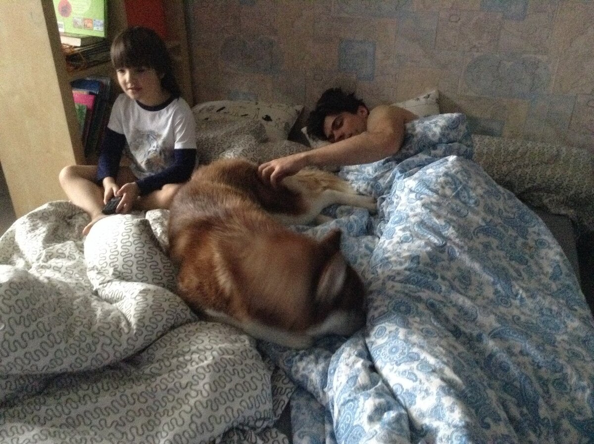 утро, Игорь пришел за порцией нежности