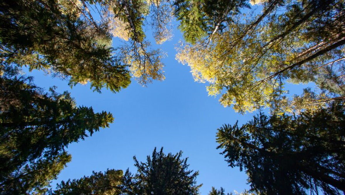 Фото: РИА «Новости»