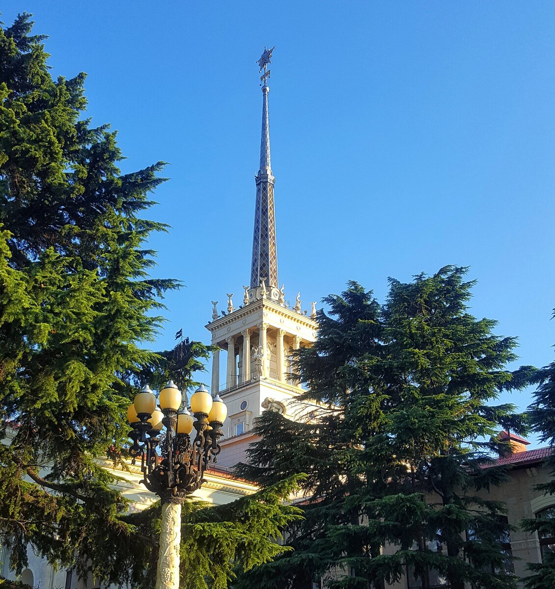 Морской вокзал Сочи и кедры на закате