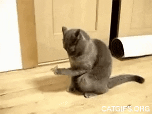 Что это такое?