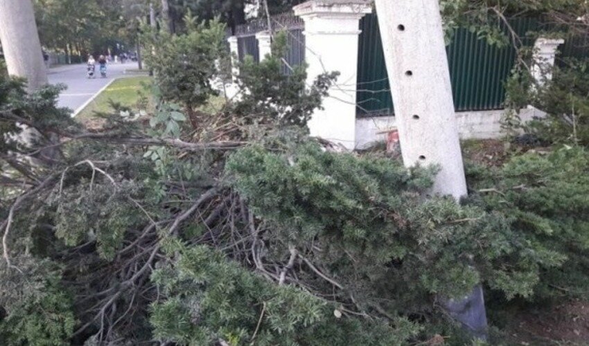 Фото с сайта pixabay.com