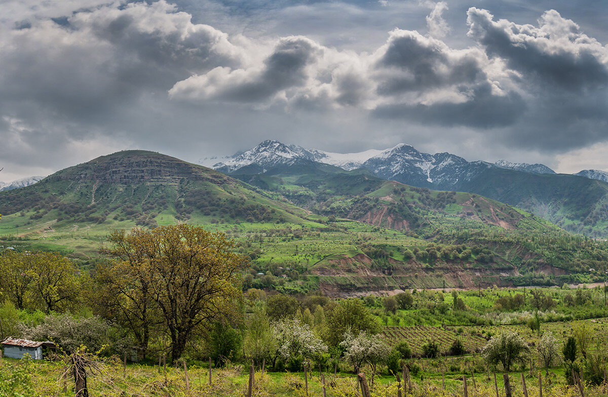 Местность Богустан в горах Западного Тянь-Шаня, где родился Насираддин Убайдуллах ибн Махмуд - Ходжа Ахрар. Фото Андрея Кудряшова, "Фергана"