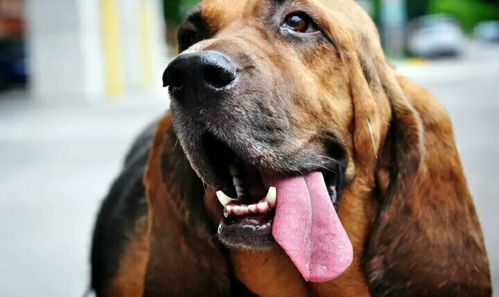 Вот так я примерно выглядела и чувствовала после пробежки. Не,не мое это.