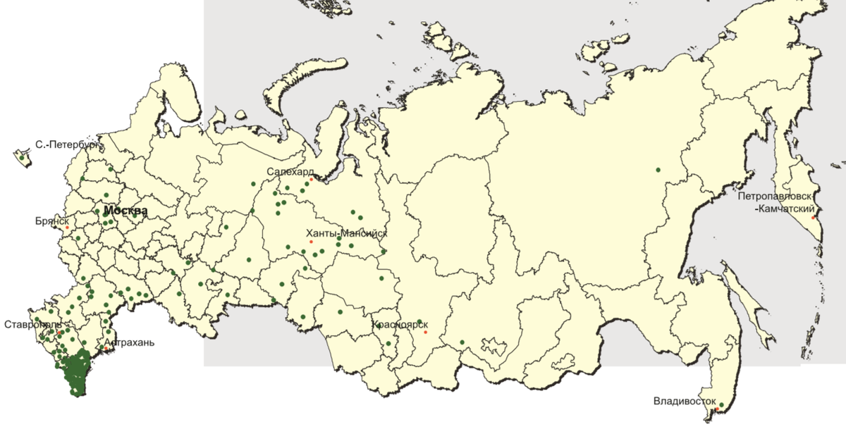 Расселение городского населения чеченцев в России в 2010	г., 1 точка равна 500 чел. (источник: Черкасов А.А. Этнические aспекты урбанизации в России. — Ставрополь, 2016. С.96)