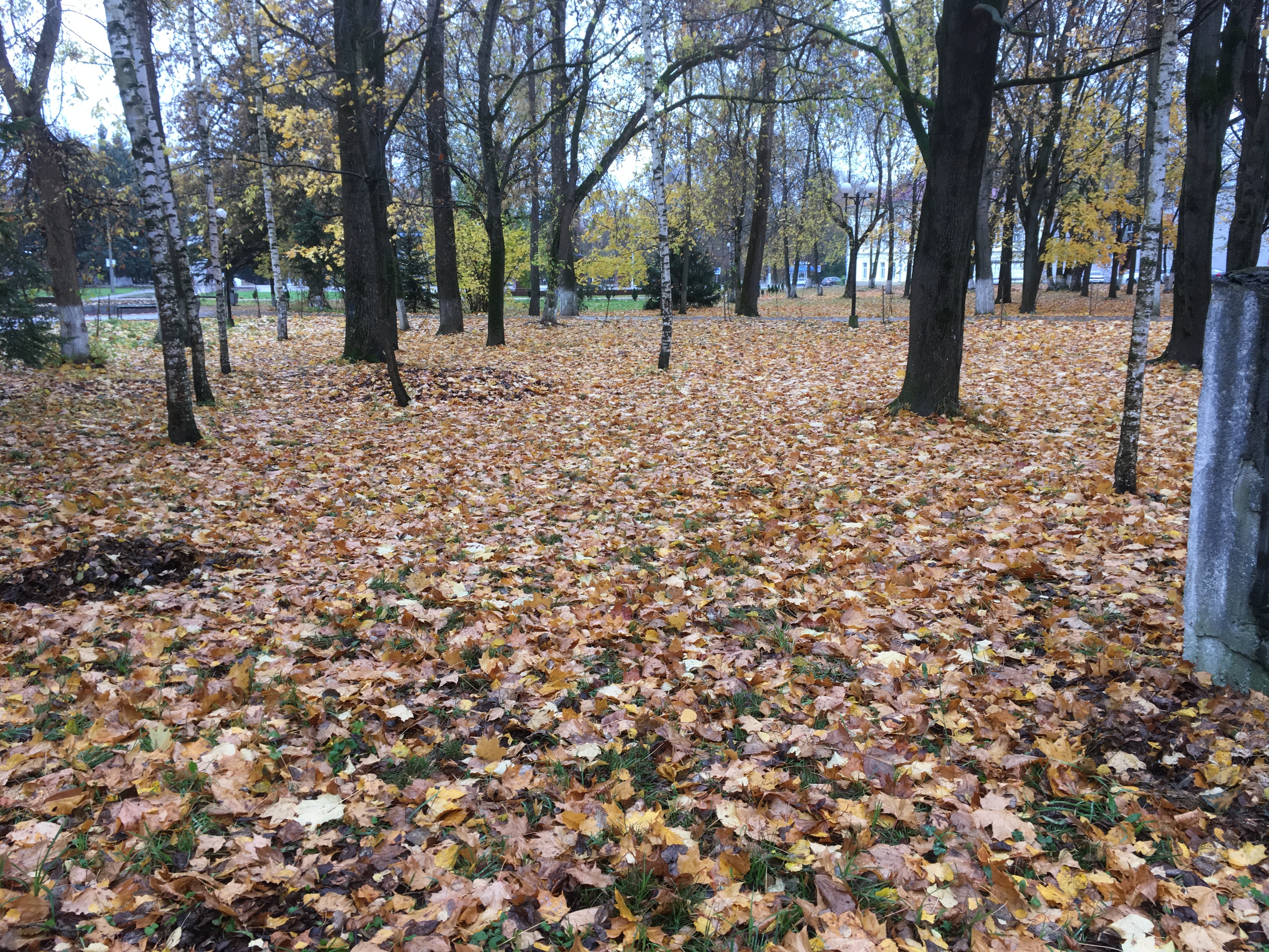 Осень в городском парке