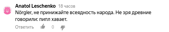 https://zen.yandex.ru/media/id/5d136fc83c083200afc2b74c/iamy-bochkareva-5d9a3af834808200af9a16b7#comment_120195482