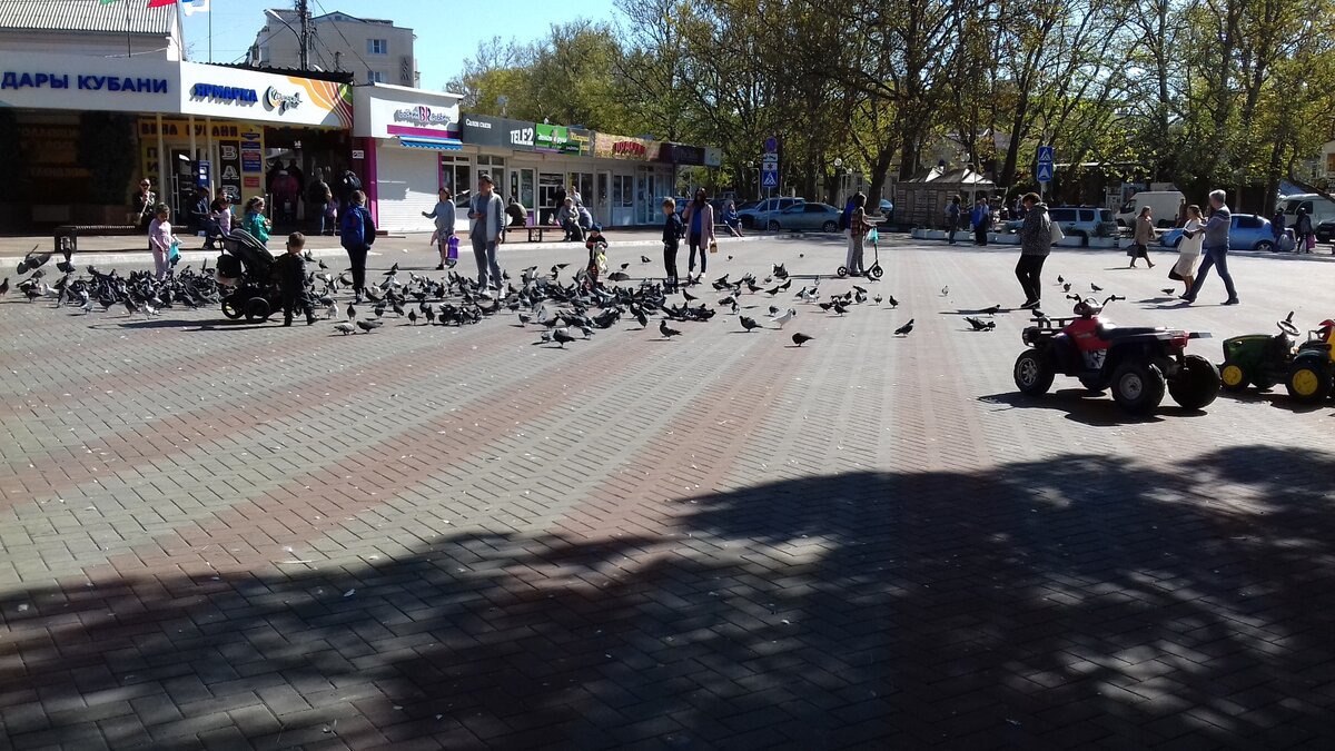 "Голубиная" площадь в центре города 