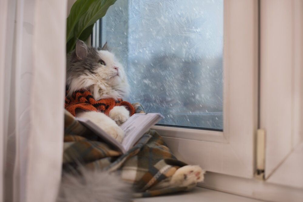 Вынужденный отдых, погода в радость 