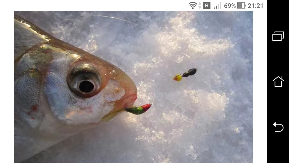 фото Две мормышки для зимней удочки.