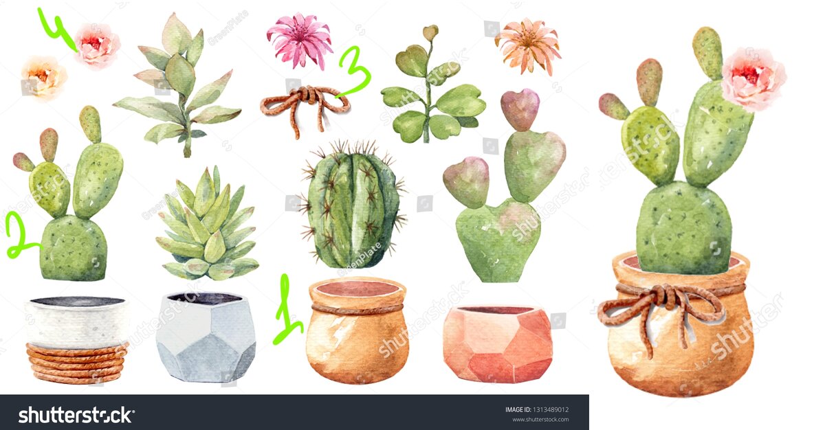 Пример с Shutterstock, рисунок Дарьи Устюговой