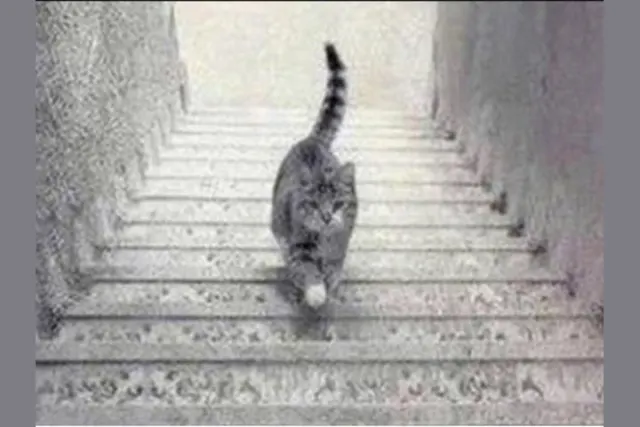 Картинка взята из общего доступа