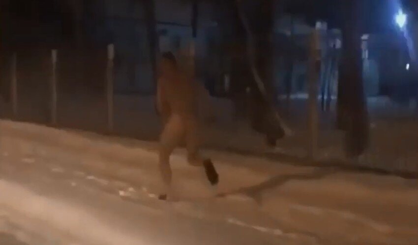 Фото: кадр из видео Instagram @dtp_sakh