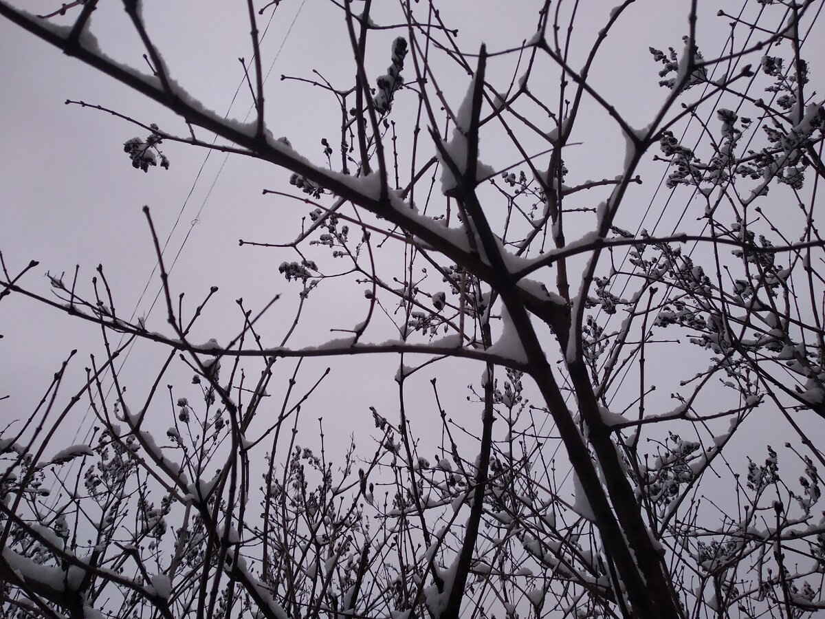 ах, да: у нас всю ночь мело. но всё это растает: обещают сильный плюс на неделе, всё утечёт... 