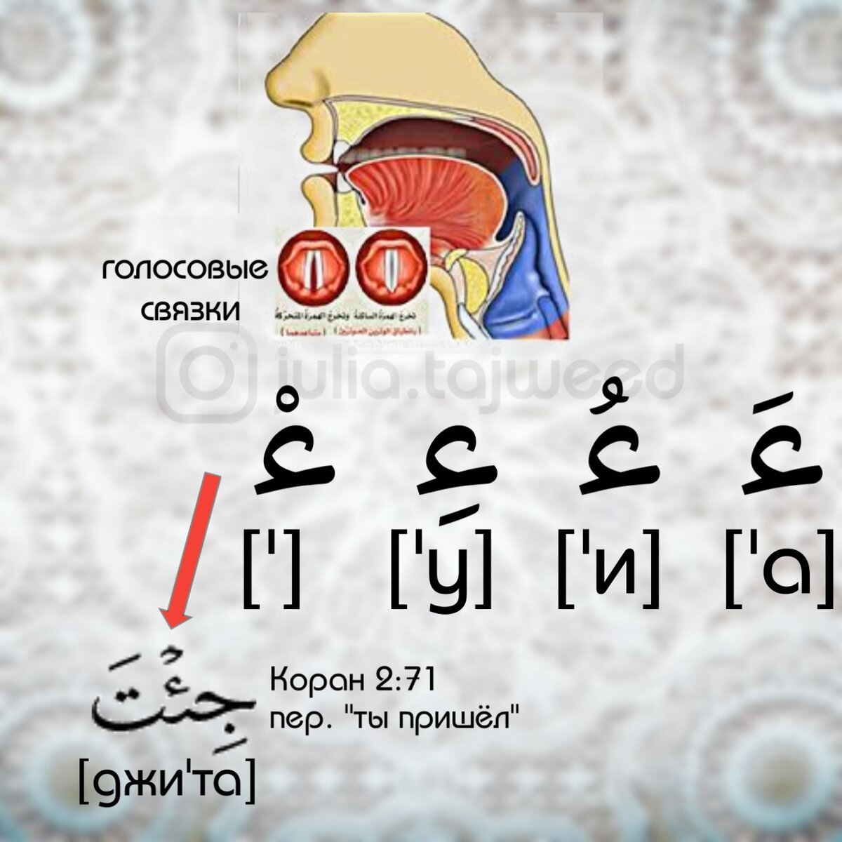 Как читается хамза. Виды хамзы в арабском языке. Алиф и хамза в арабском языке. Алиф с огласовками. Как читается хамза.