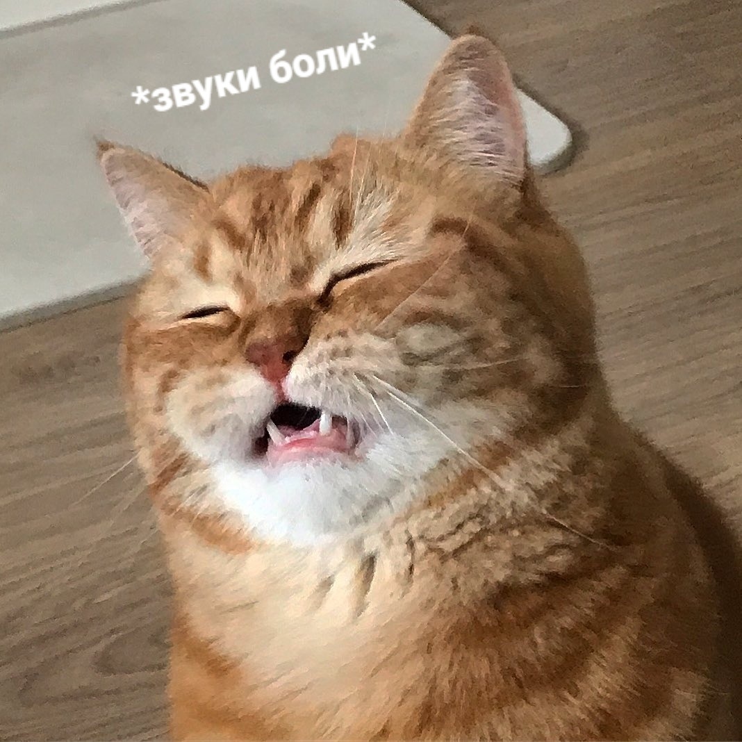 Когда проснулась от звука будильника, а не от морских волн