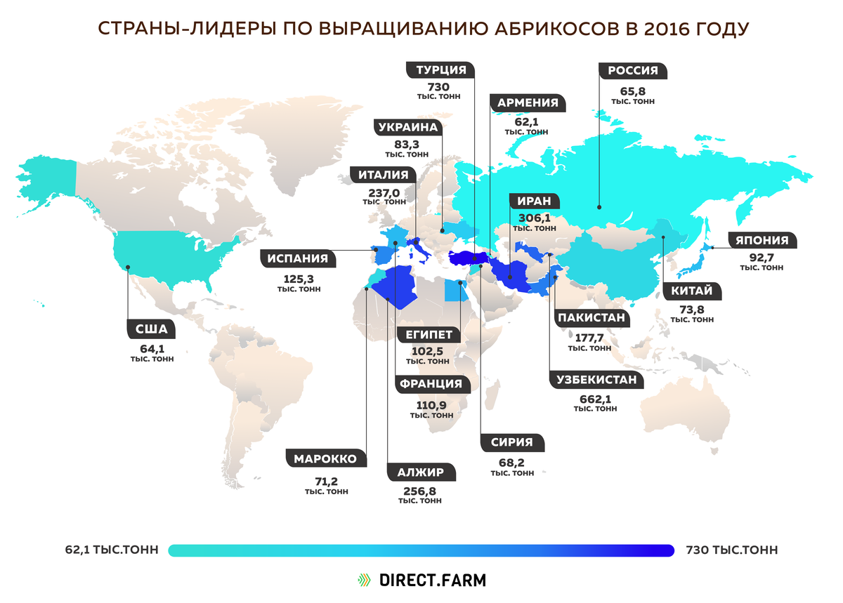 Какие страны выращивают