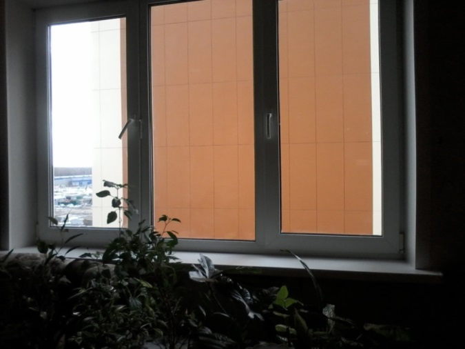 Стена в окне дома Юбилейный 56