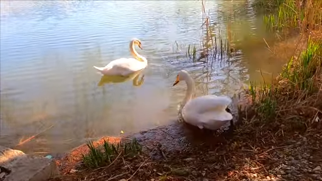 озеро дивное