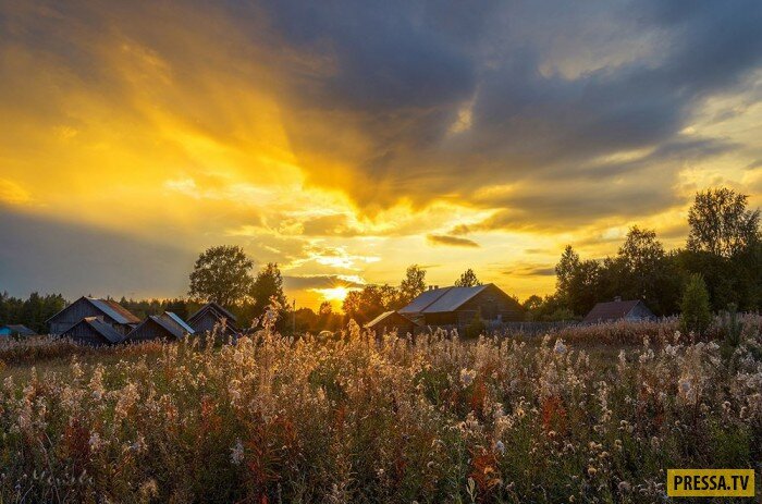 фото из интернета