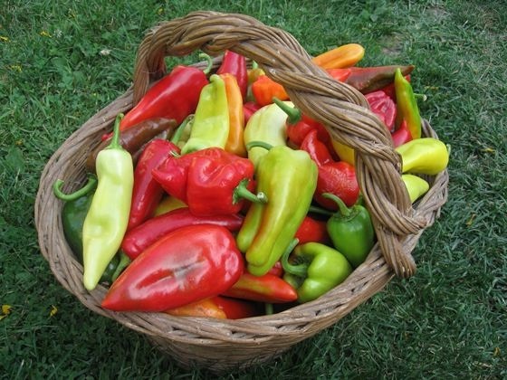 источник: интернет