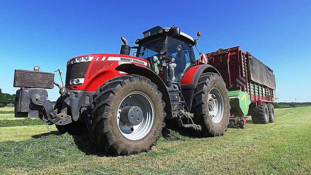 Фотография взята из открытого источника. Яндекс.Картинки