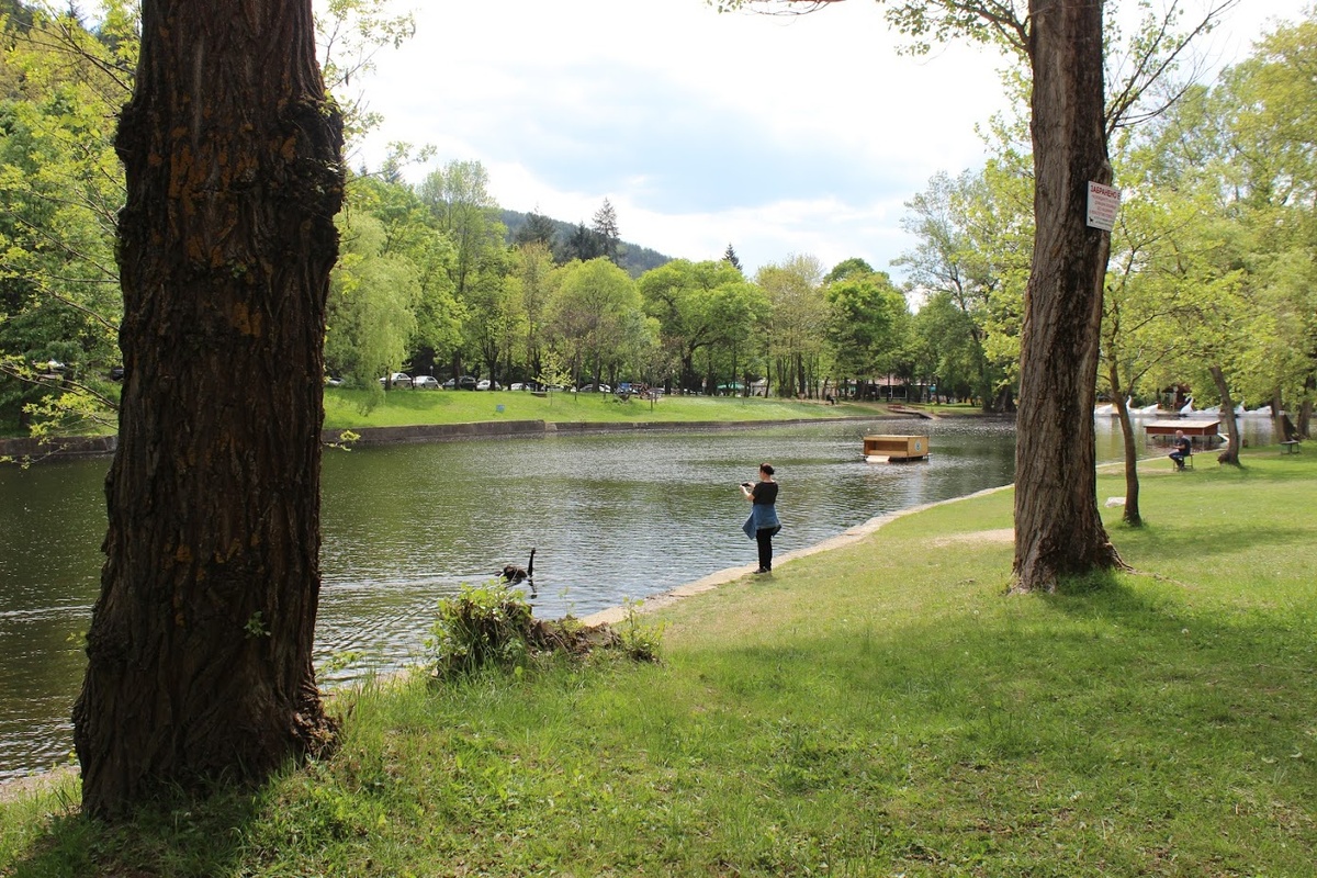 Благоевград, парк Бачиново, май 2019 года. Фотографировать лебедей не возбраняется :), а вот сидеть на скамейках в этом году нельзя