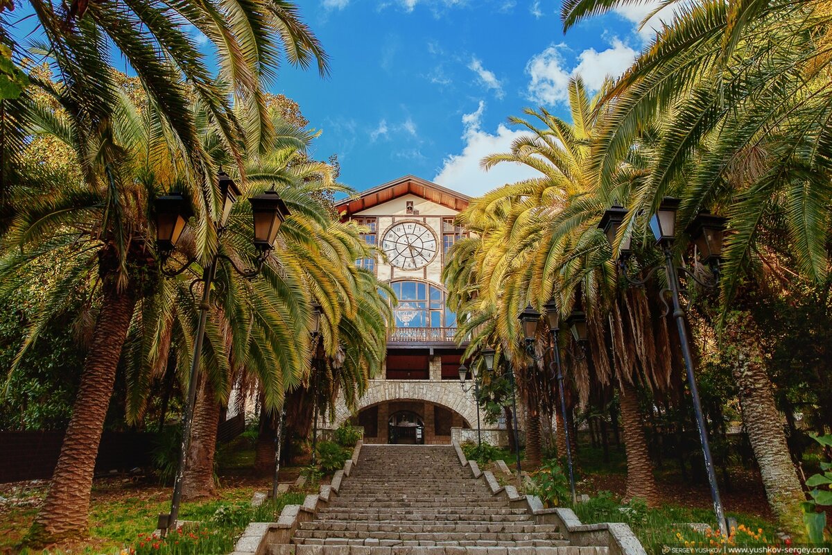 Гагра приветствовала меня знаменитой колоннадой – я видела ее на снимках в бабушкином альбоме и вот теперь узнала. А пальмы, знаменитые пальмы! Нигде и никогда я не видела таких роскошных, таких великолепных пальм! Цветущие олеандры – белые, нежно-розовые и темные, почти малиновые – неизбежная примета юга. Центр города – длинного, вытянутого, как наша Уфа, только, разумеется, гораздо меньшего по размерам, – украшала аллея светлых гигантов-эвкалиптов. Эти лечебные «бесстыдники» (со стволов целыми полосами сползает кора, словно деревья… обнажаются!) выстроились по обе стороны шоссе, приветствуя нас, маленьких человечков. Множество кафе, как и положено в приморском городе, частные дома – одноэтажные и двухэтажные (попадались и разрушенные, но не так много, чтобы испортить настроение), силуэты многоэтажек (новая Гагра). У домика с островерхой черепичной крышей, напомнившего мне швейцарское шале, я вышла и отправилась по сонным, утренним зеленым переулкам разыскивать дом, где остановились мои друзья.