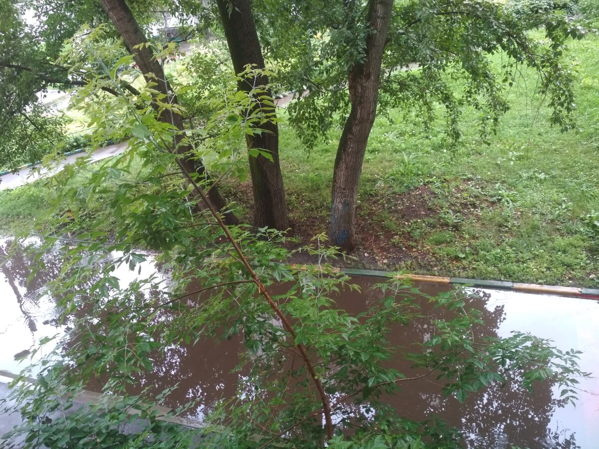 Часто всё совсем не так, как кажется на первый взгляд...