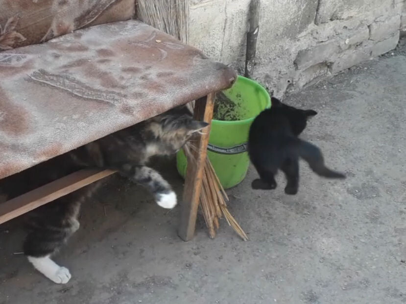 -1-3