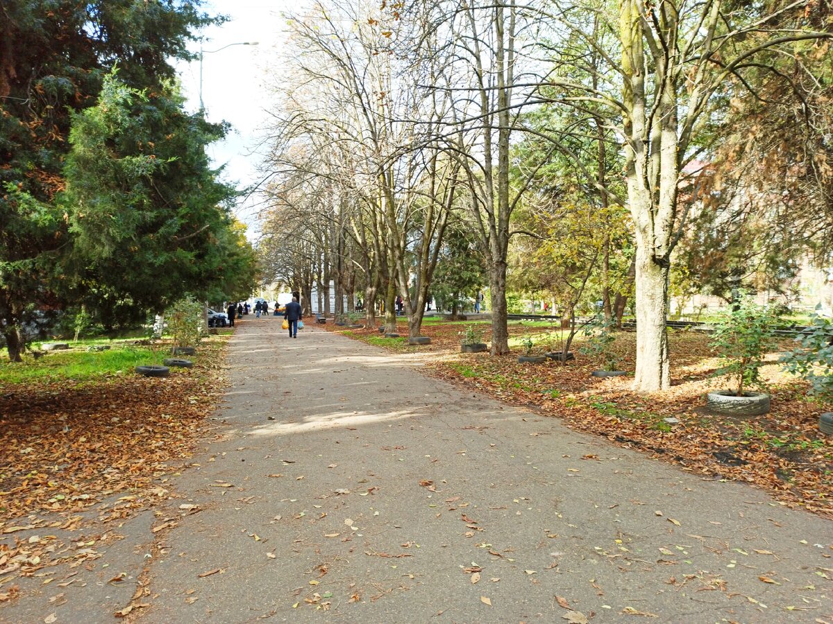 Фото автора