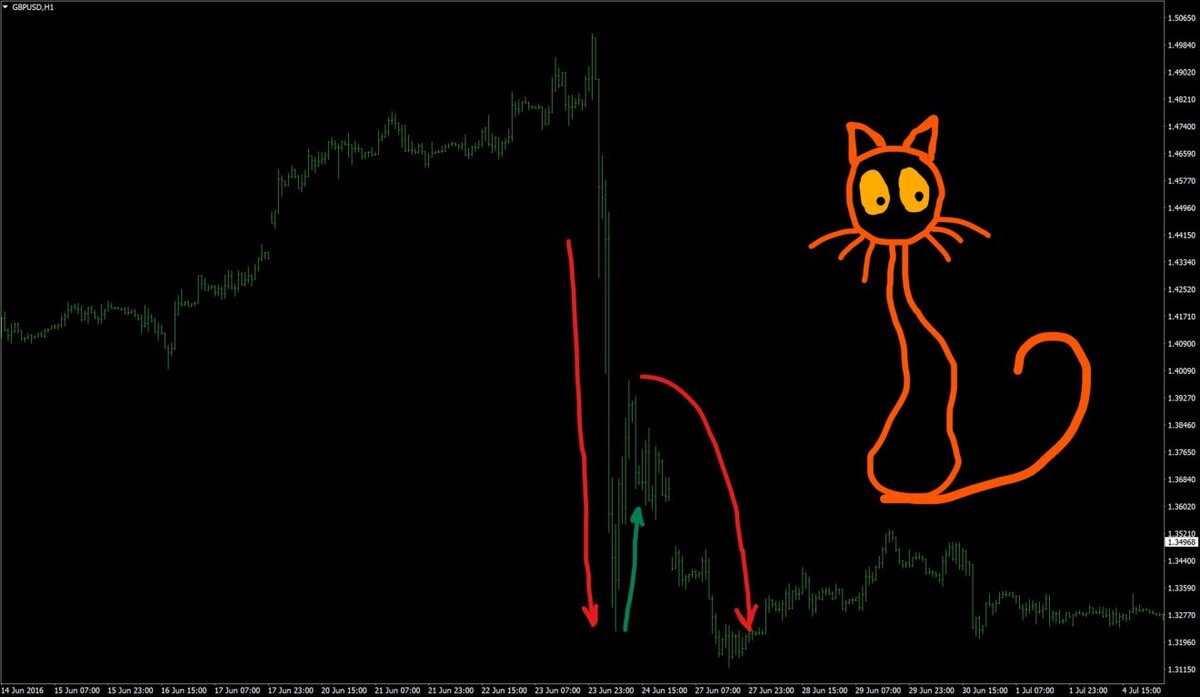 Источник: https://forexdengi.com/threads/143020-chto-takoe-prizhok-dohloy-koshki?p=20580316