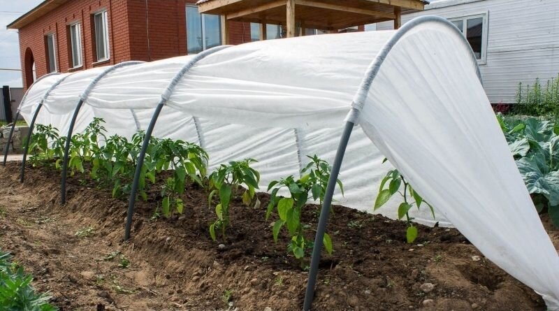 Изображение взято с ресурсов Яндекс фото