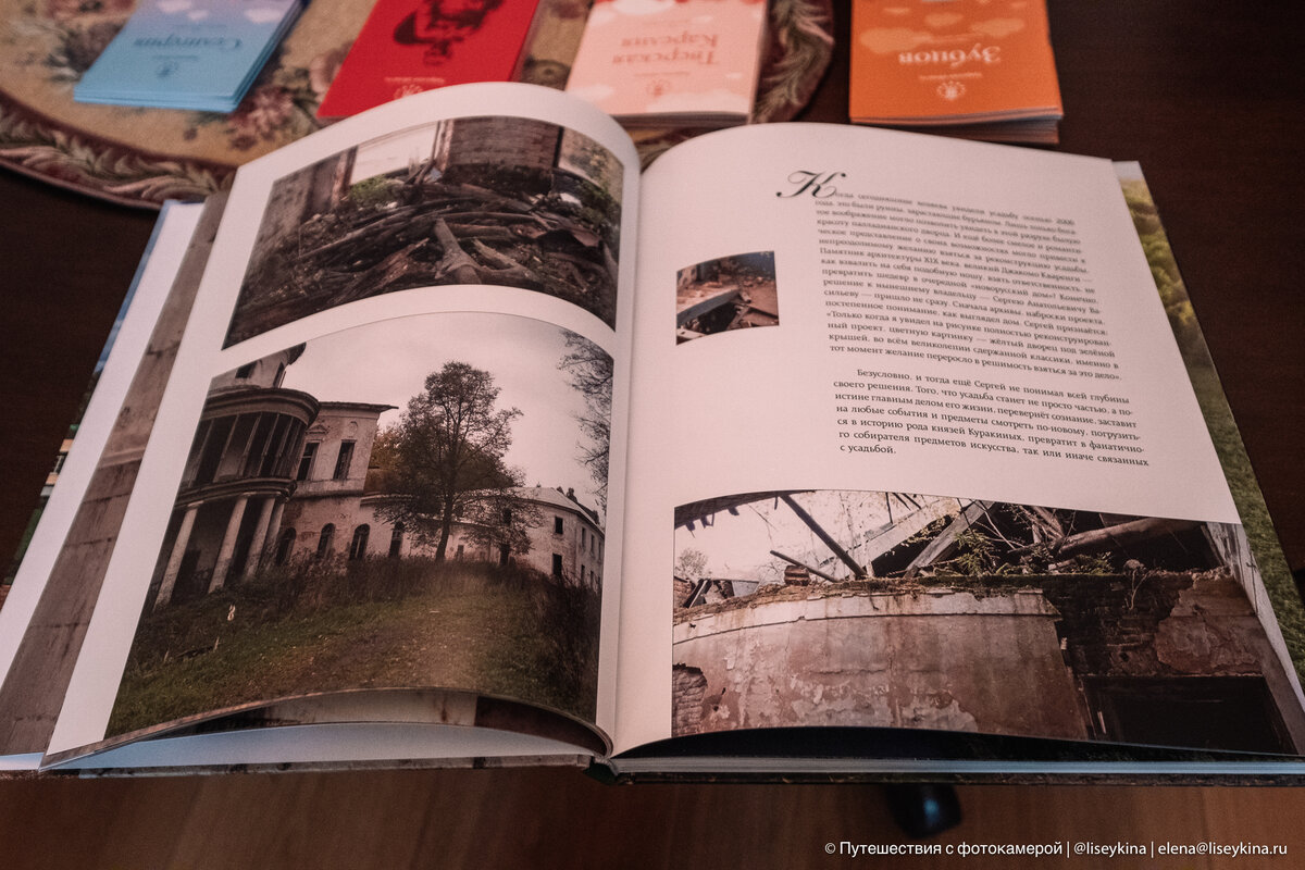 Вот в таком состоянии усадьбу купил Васильев