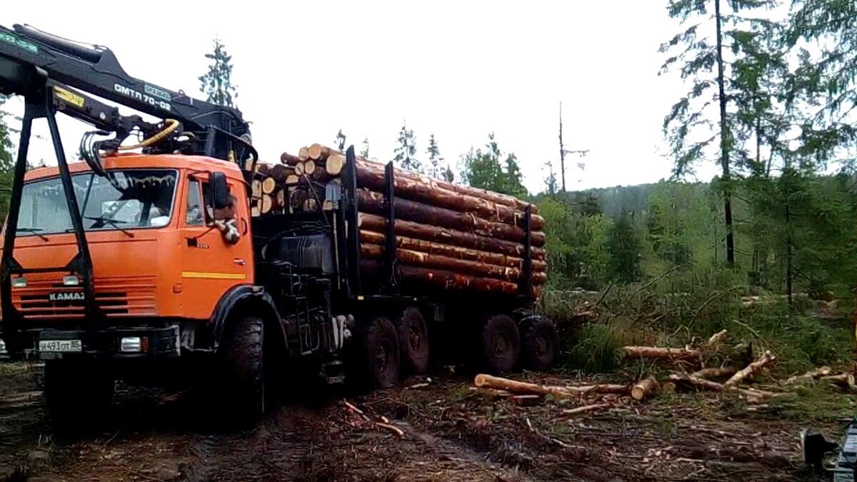 Гонки на лесовозах опасные лесные дороги урал камаз