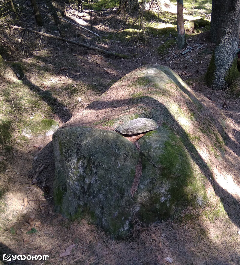 Фото из открытых источников.