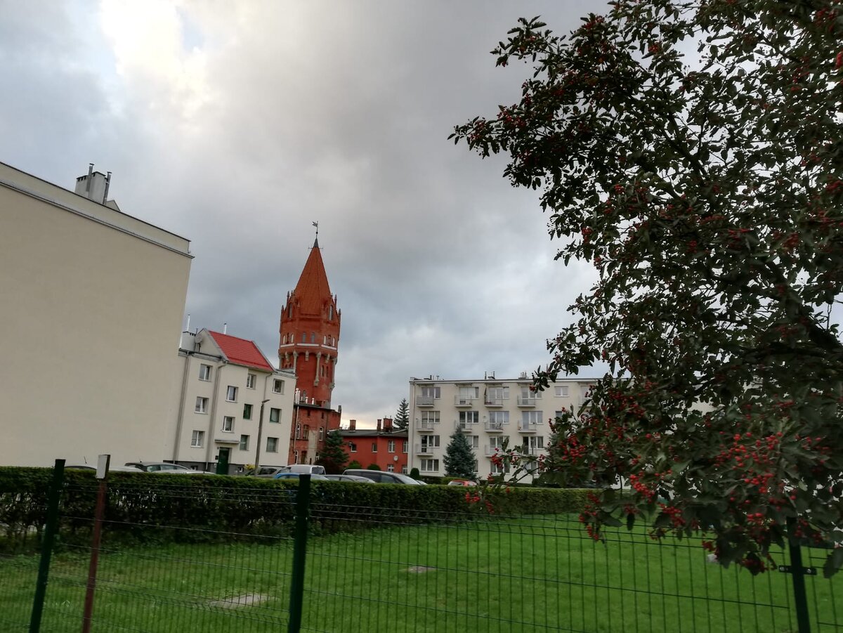 Оцените контраст