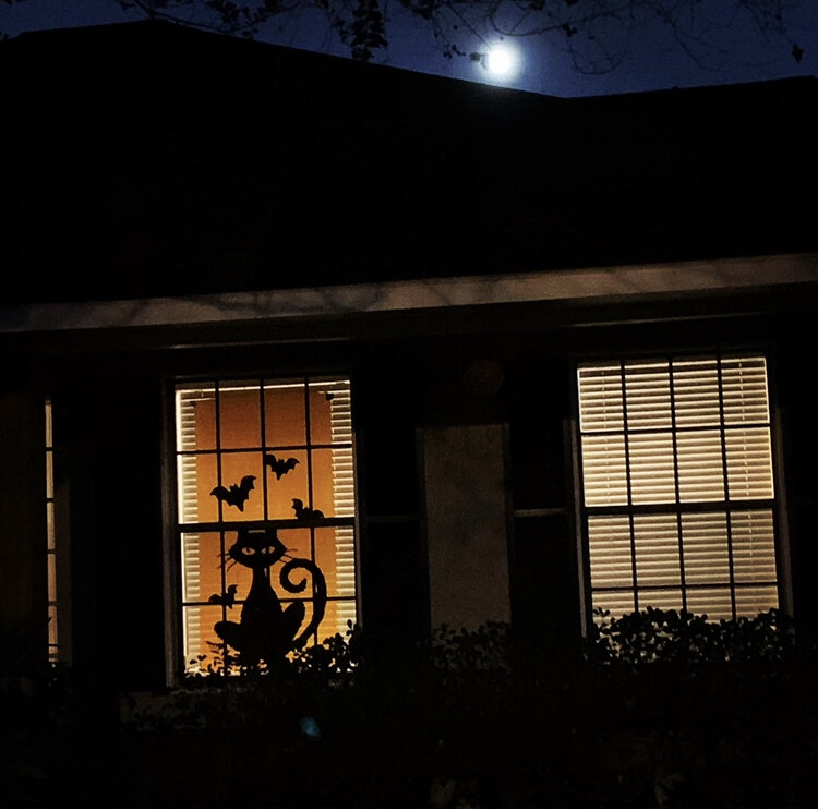 Все фотографии из походов по микрорайону, соседи украшают, хотя и не все. Украшенные дома с включённым светом над входом - сигнал к раздаче конфет. 