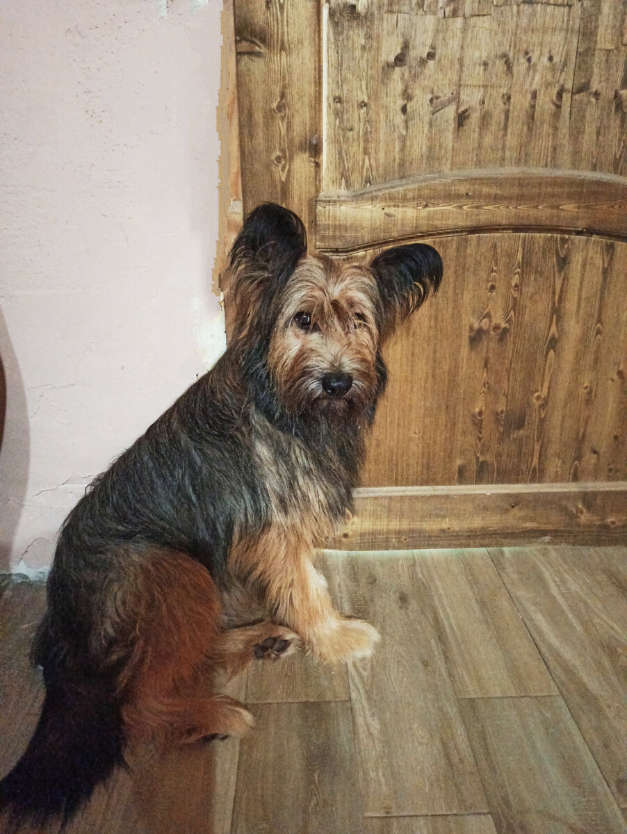 Первый день у меня. Фото автора