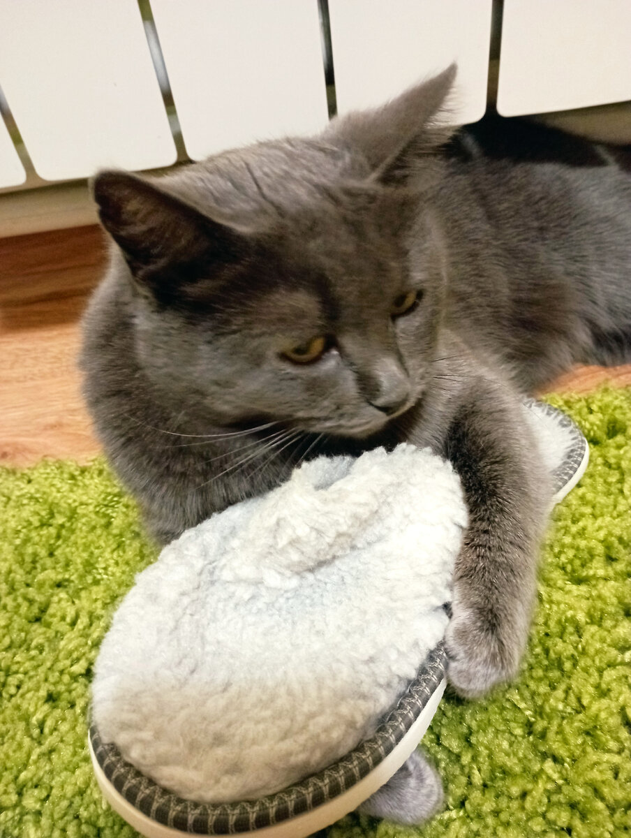 Не, ну хватит грустить... 