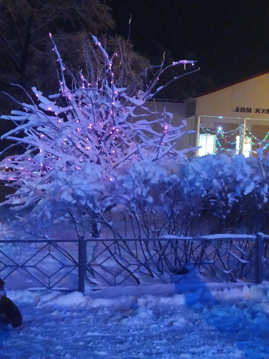 Фото автора