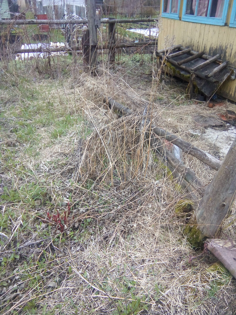 Фото из личного архива