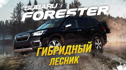 SUBARU FORESTER 🔥ГИБРИДНЫЙ ЛЕСНИК😱КОНЕЦ ЭПОХЕ ТУРБО-СУБАРУ!?