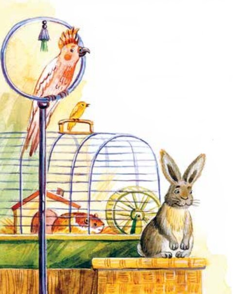 Здесь и далее рисунки Юлии Гончаровой